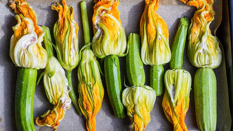 2 ricette con le zucchine. Le ricette di cucina facili e veloci