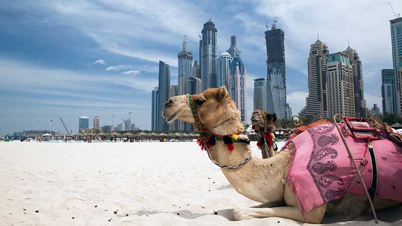 La mia Dubai - una vita da expat
